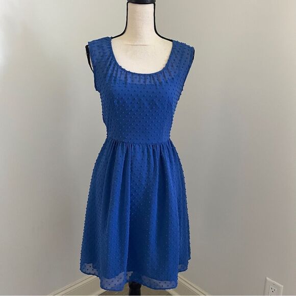 J. Crew Fit & Flare Sleeveless Pleated Swiss Dot Dress 0 Blue Knee Length Party - Picture 1 of 11